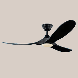 Ceiling Fans